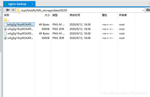 Linux CentOS 7 下搭建外網(wǎng)可訪問的 FastDFS 結(jié)合 Nginx 圖片/文件服務(wù)器